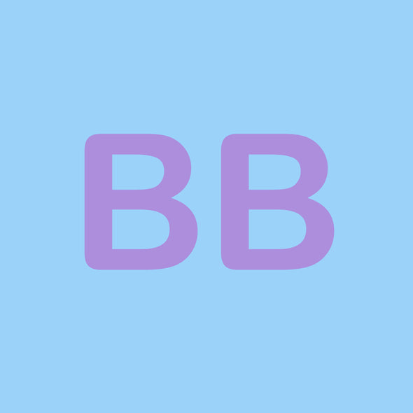 BB Earrings - Pop Pastel
