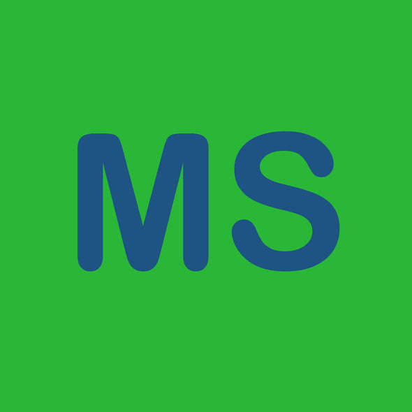 MS Keychain